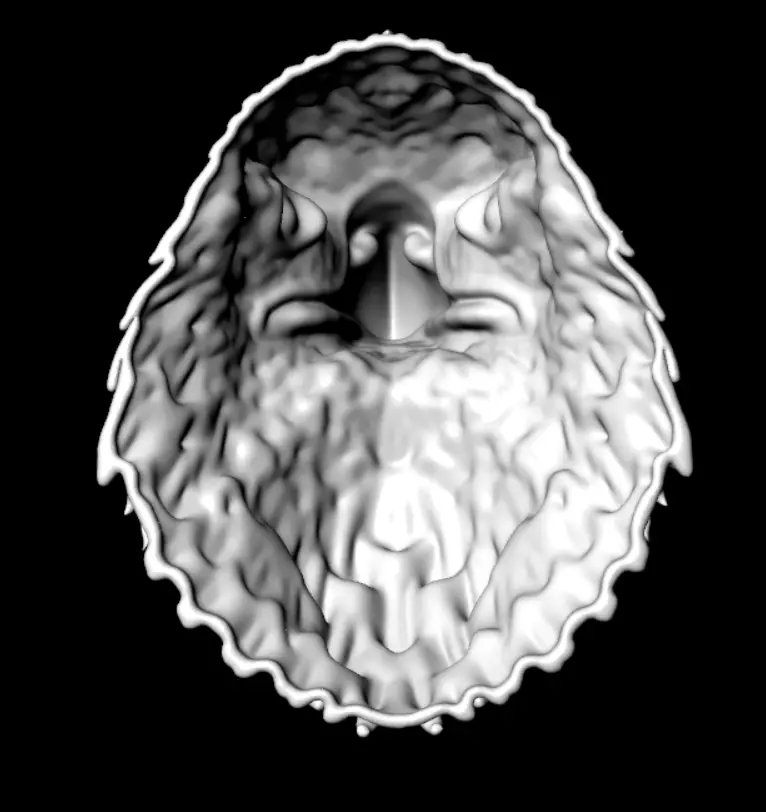 Eagle Head Medal 3D Model  3D print model Free 3D print model_8