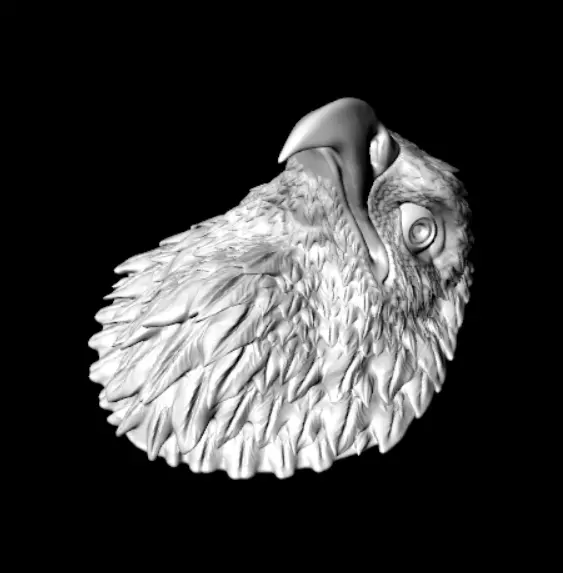 Eagle Head Medal 3D Model  3D print model Free 3D print model_4