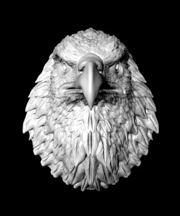 Eagle Head Medal 3D Model  3D print model Free 3D print model_7