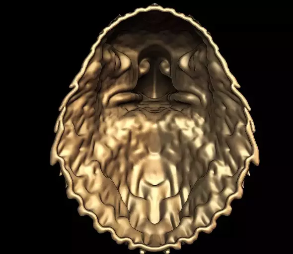 Eagle Head Medal 3D Model  3D print model Free 3D print model_2