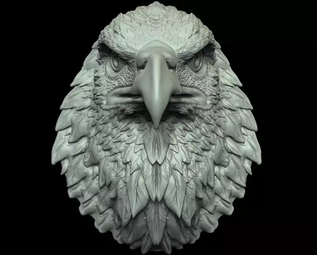Eagle Head Medal 3D Model  3D print model Free 3D print model_3