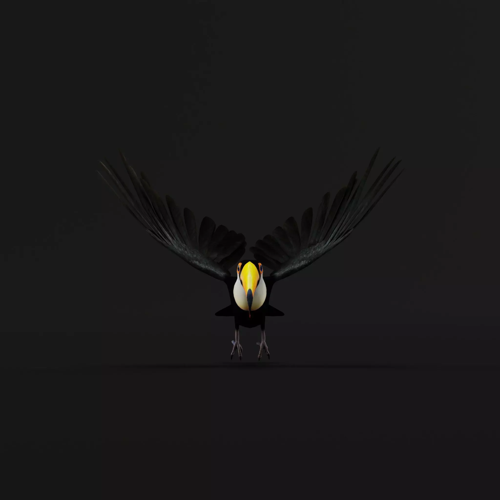 Toucan Bird Low-poly 3D model_32