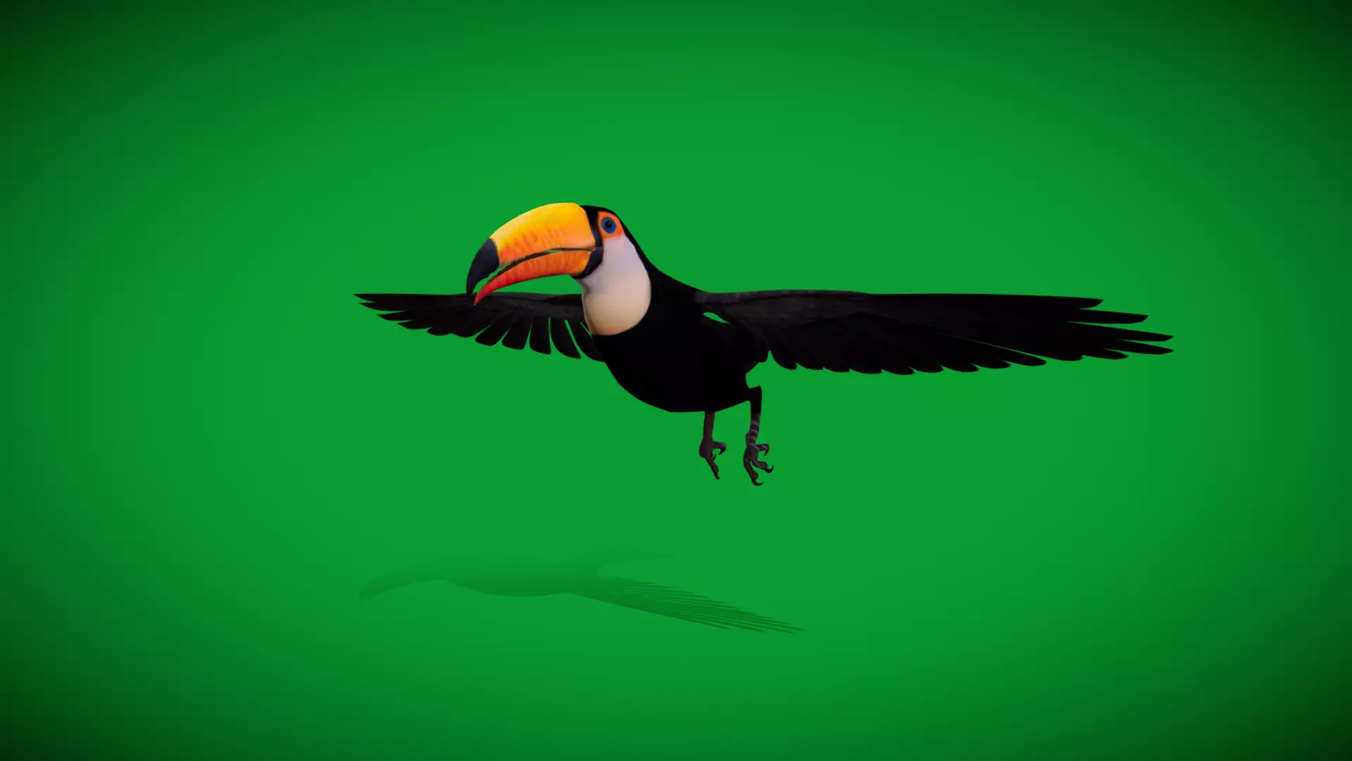 Toucan Bird Low-poly 3D model_24