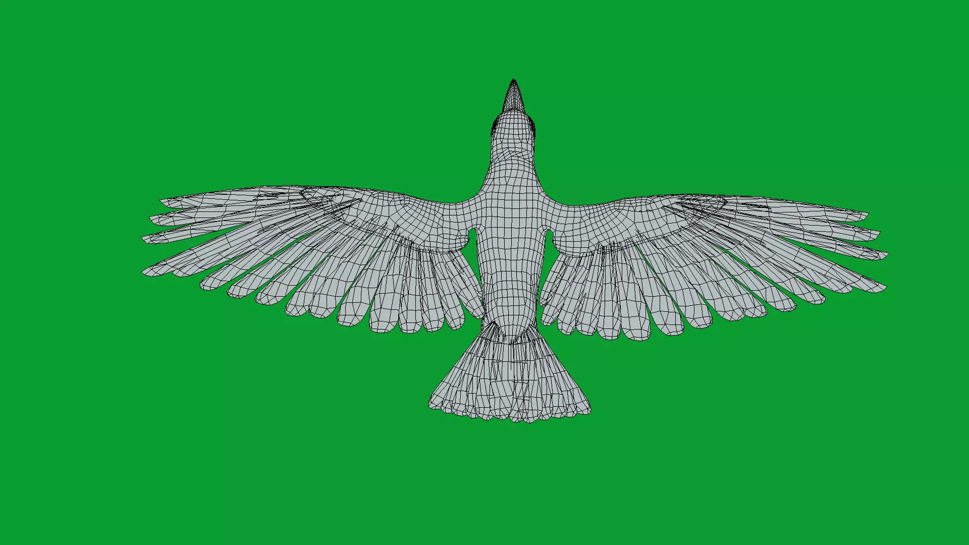 Toucan Bird Low-poly 3D model_16