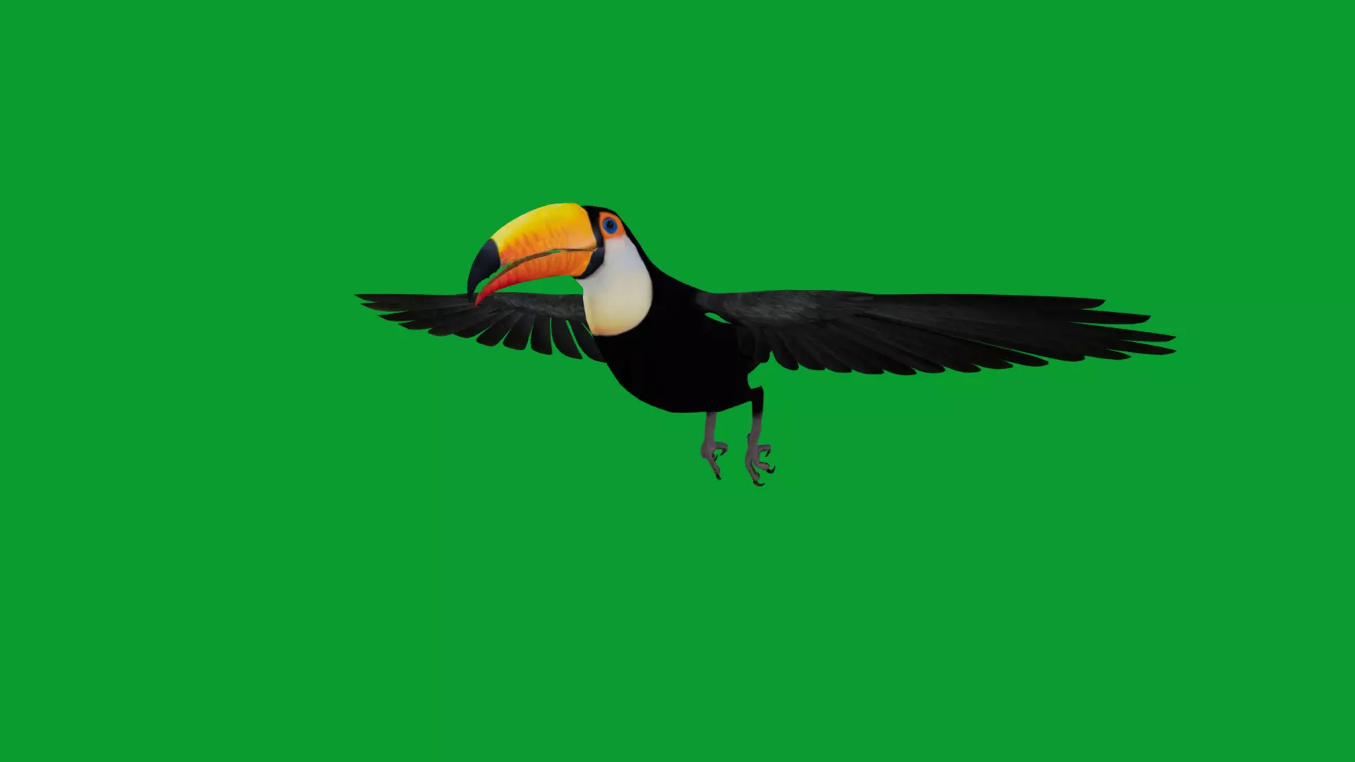 Toucan Bird Low-poly 3D model_6