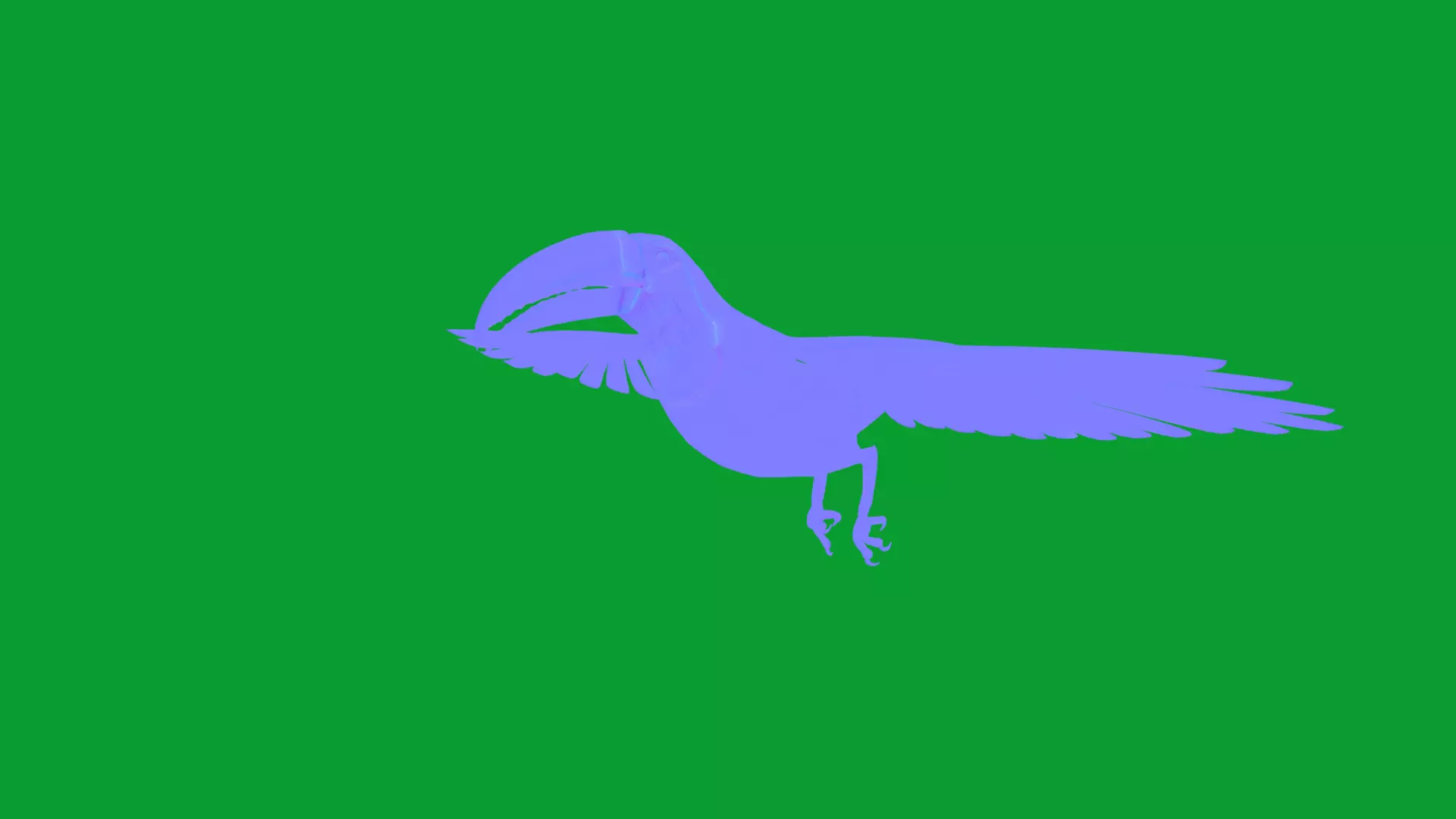 Toucan Bird Low-poly 3D model_9