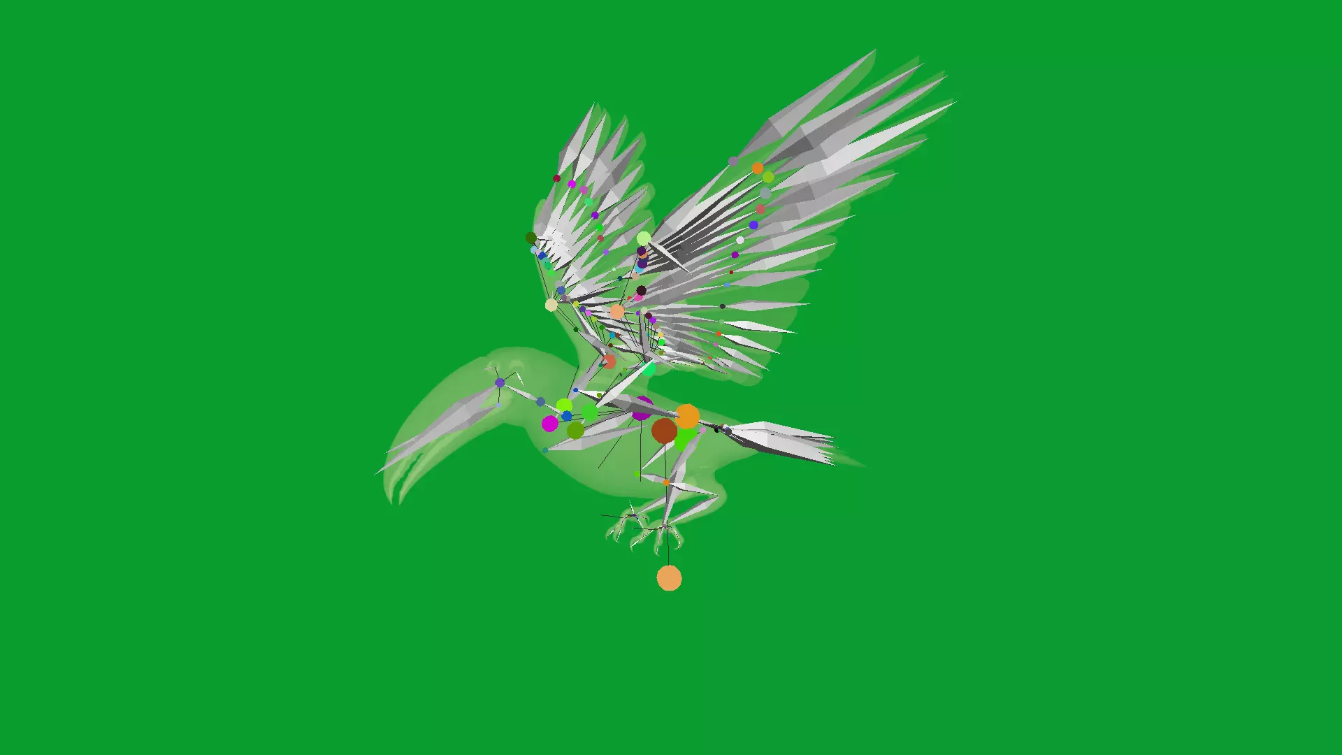 Toucan Bird Low-poly 3D model_29