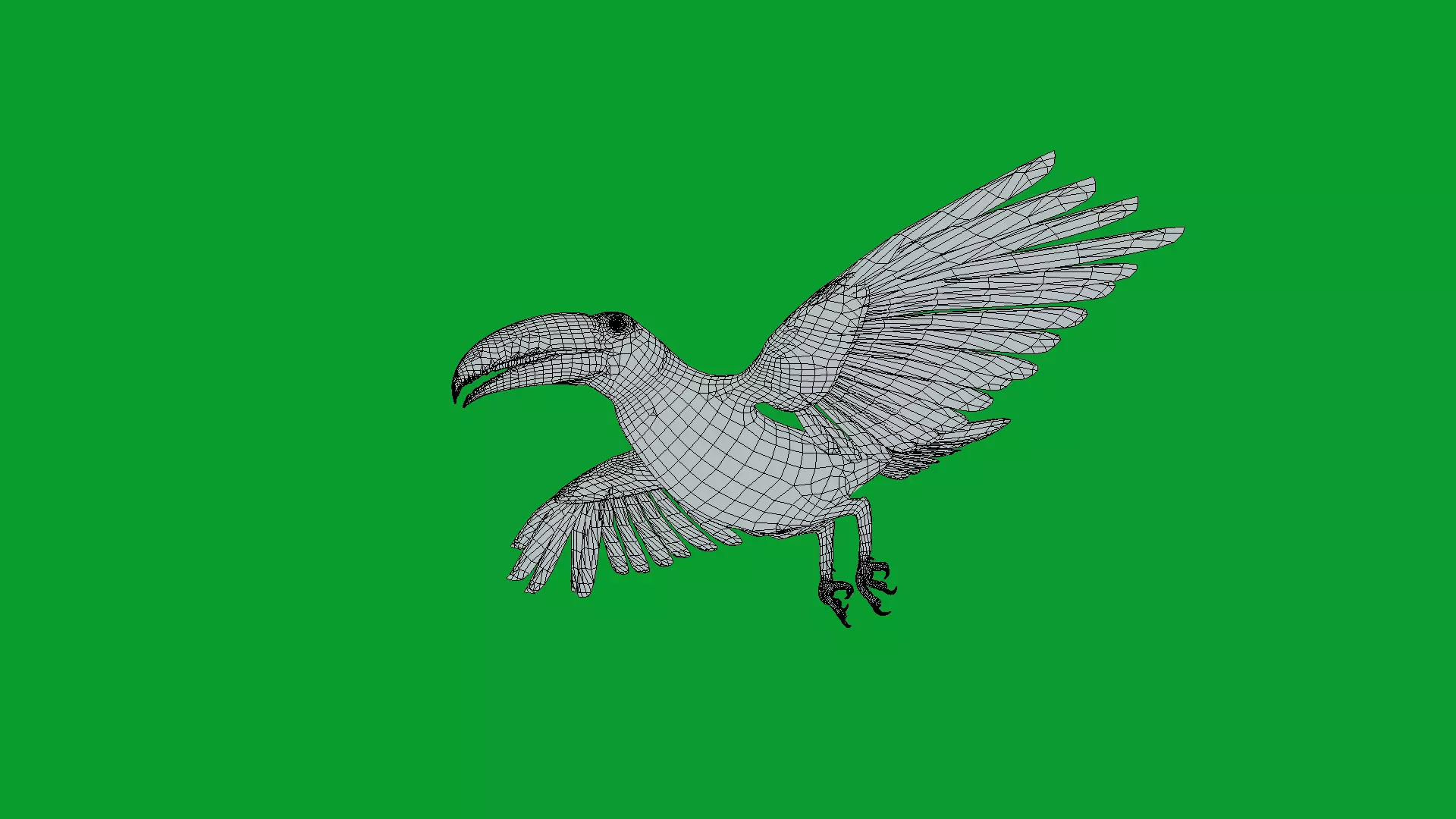 Toucan Bird Low-poly 3D model_27