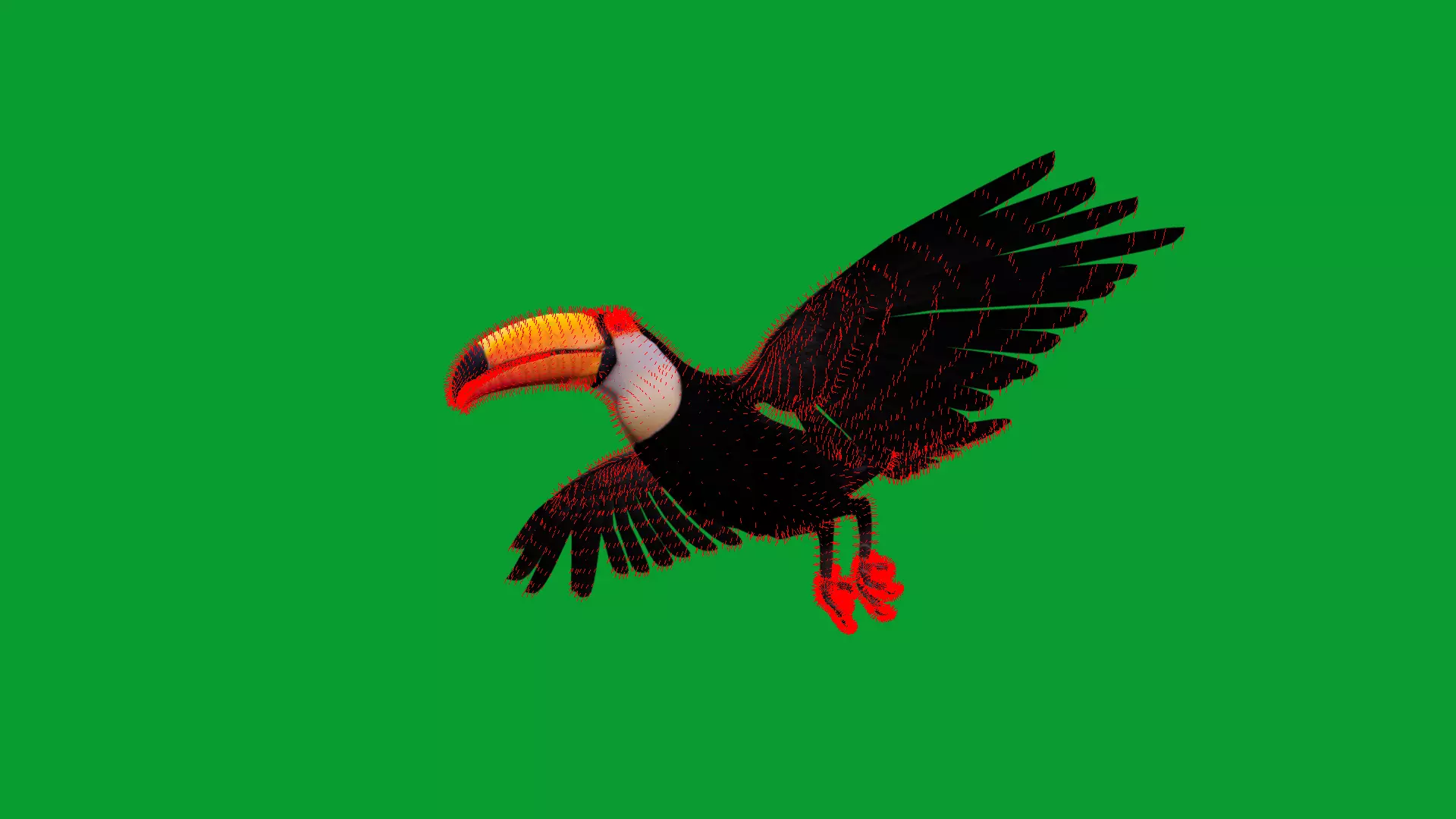 Toucan Bird Low-poly 3D model_22