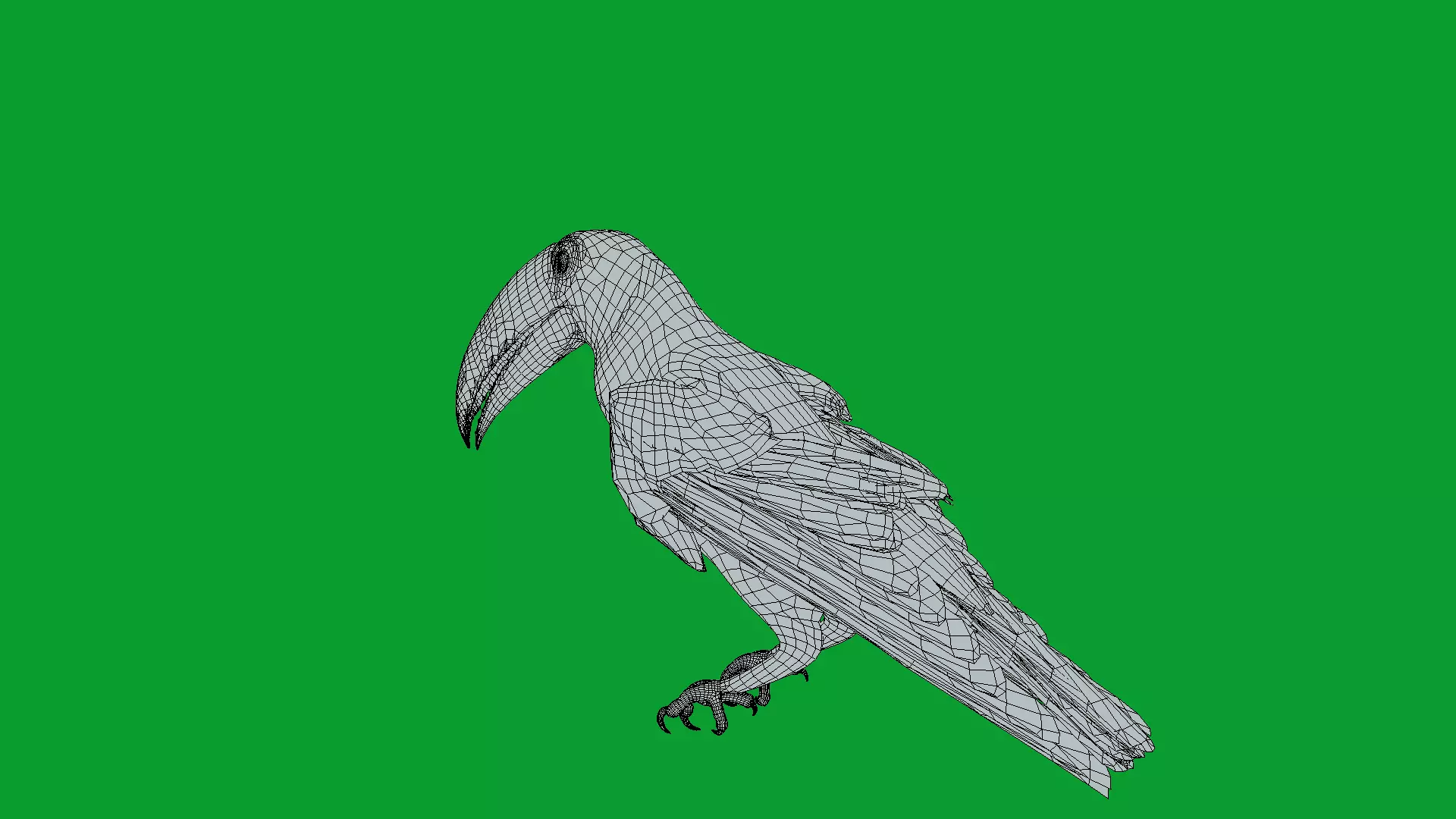 Toucan Bird Low-poly 3D model_17