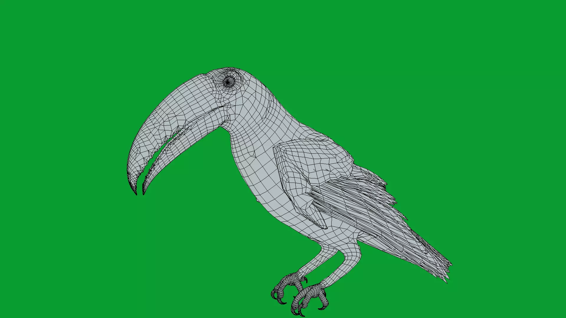 Toucan Bird Low-poly 3D model_20