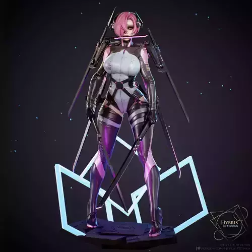 Project Code VOID Commercial Package 