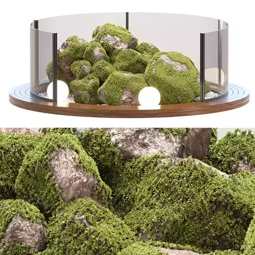 Indoor Mossy Rock Garden Vol 323 3D model