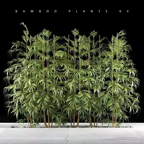 Bamboo plant 3D model