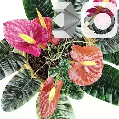 Red anthurium Plant in a decorative vase 3D model Red anthurium Plant in a decorative vase 3D model