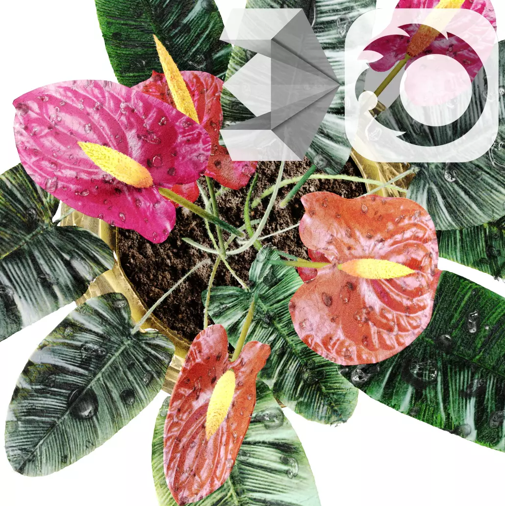 Red anthurium Plant in a decorative vase 3D model_0