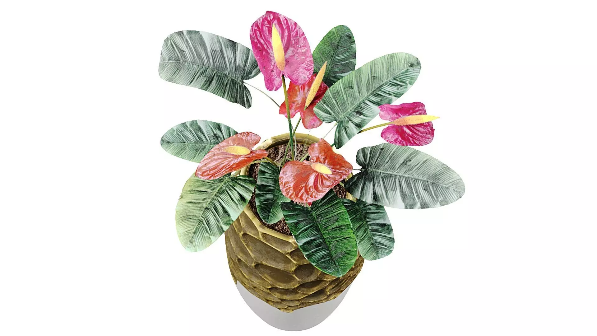 Red anthurium Plant in a decorative vase 3D model_8