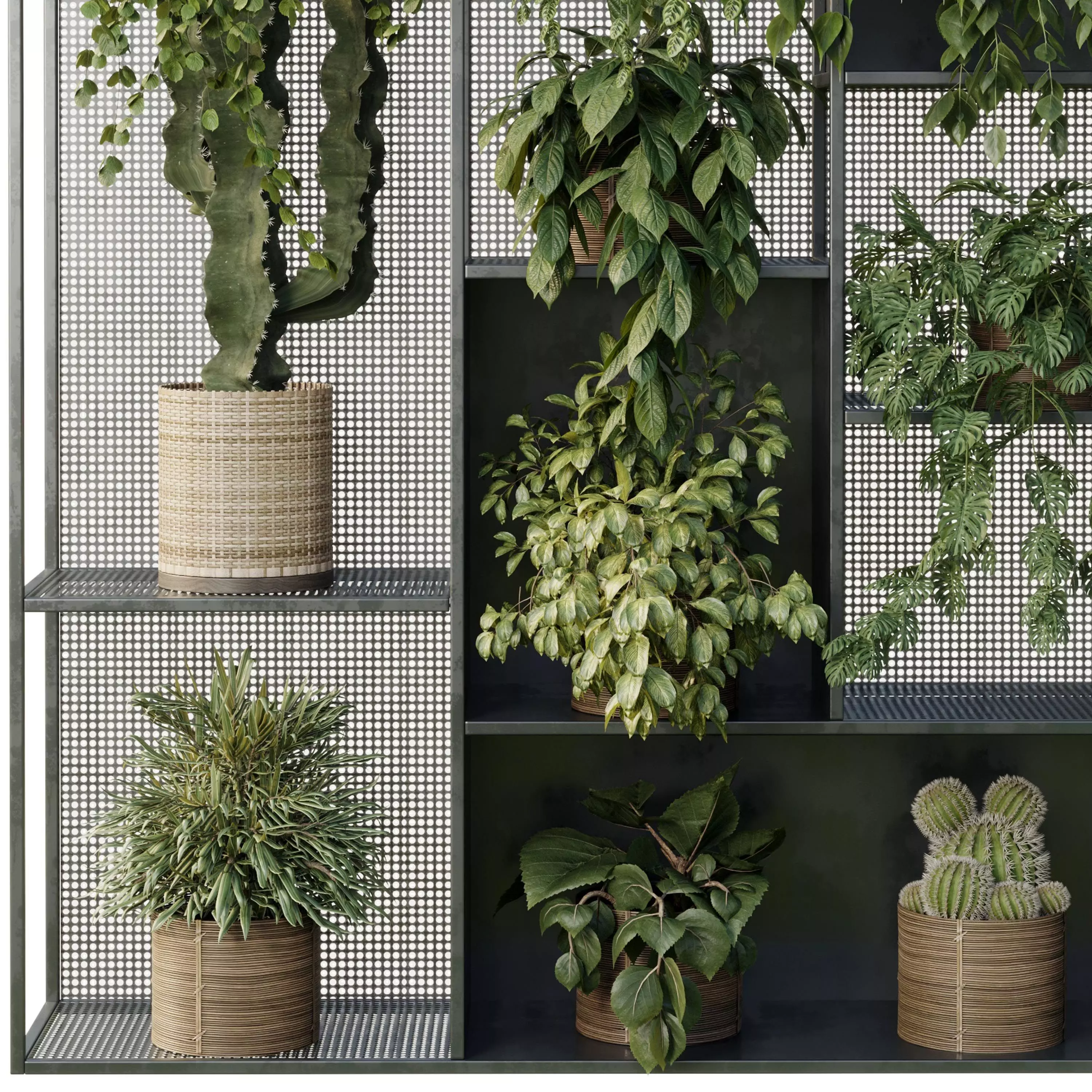 Standing Metal Shelf With A Set of Plants in Metal Boxes 121 3D model_3