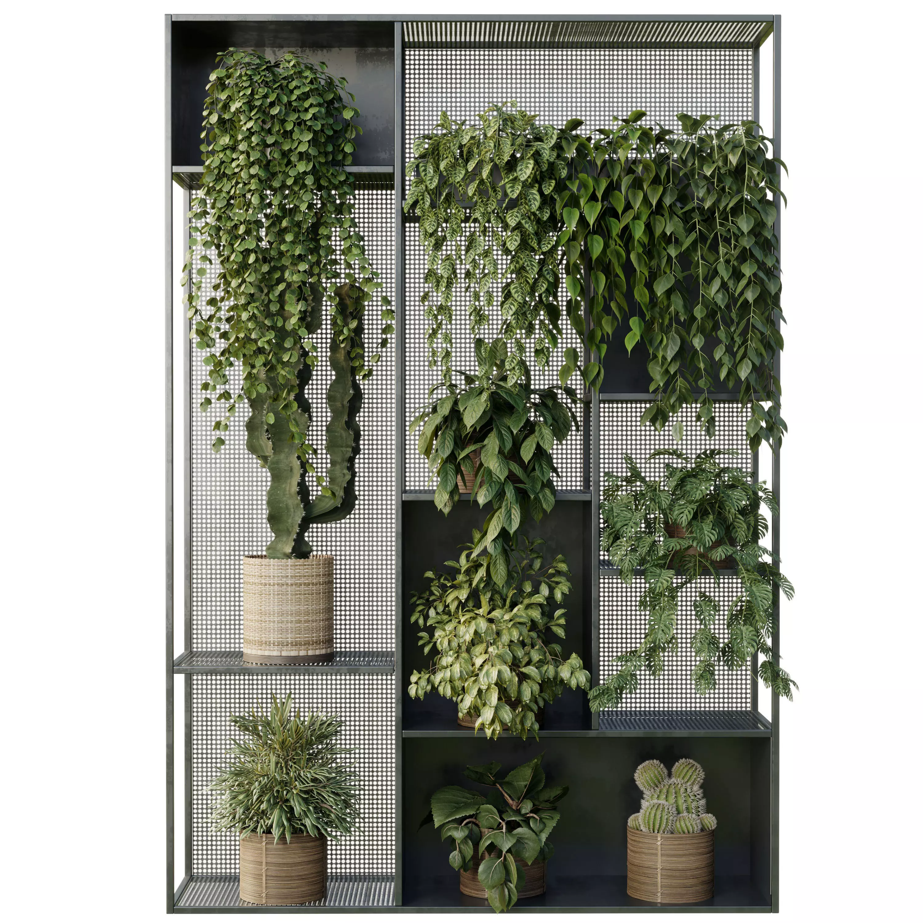 Standing Metal Shelf With A Set of Plants in Metal Boxes 121 3D model_1