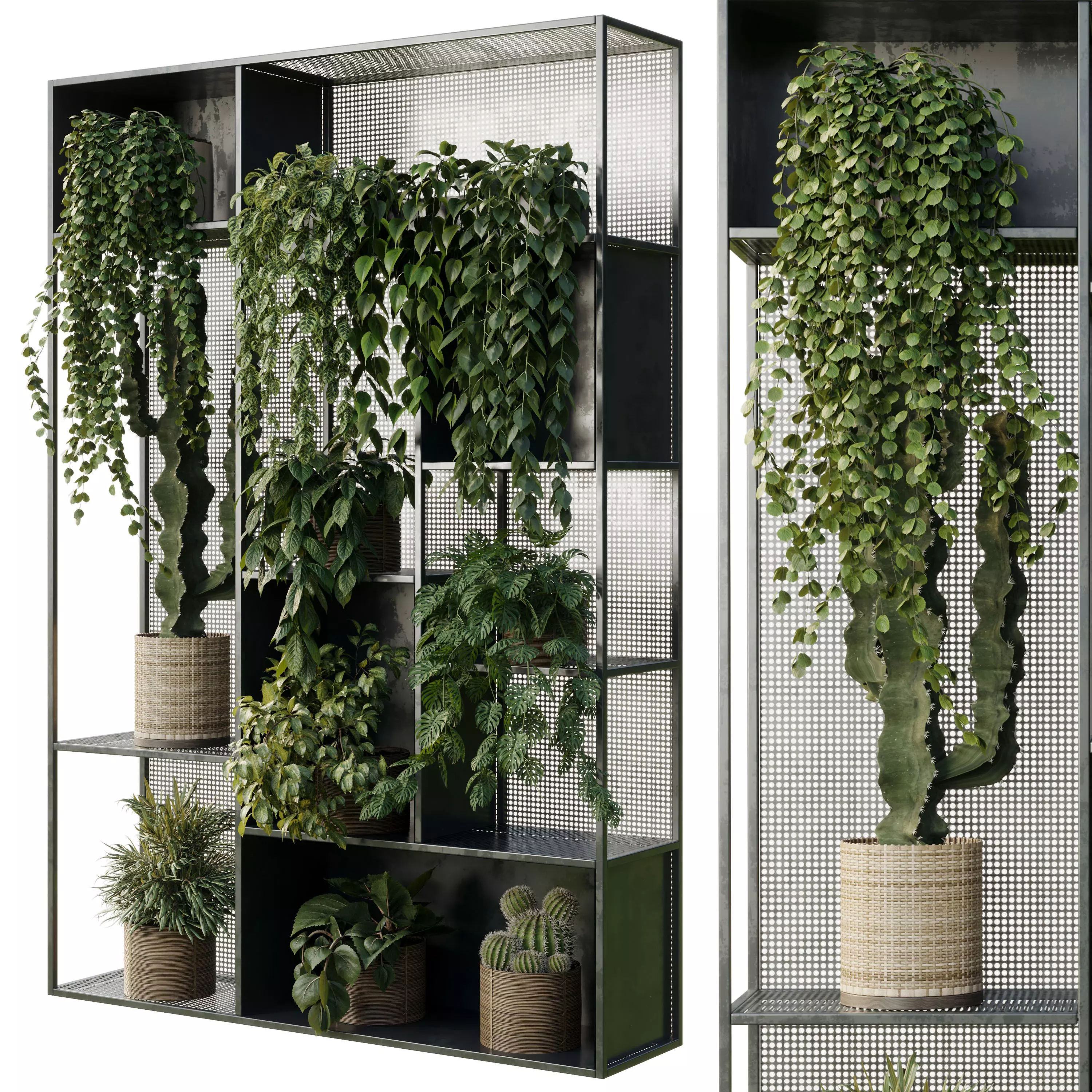 Standing Metal Shelf With A Set of Plants in Metal Boxes 121 3D model_2