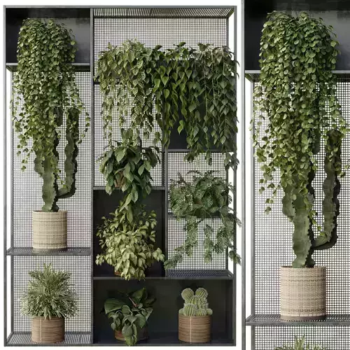 Standing Metal Shelf With A Set of Plants in Metal Boxes 121