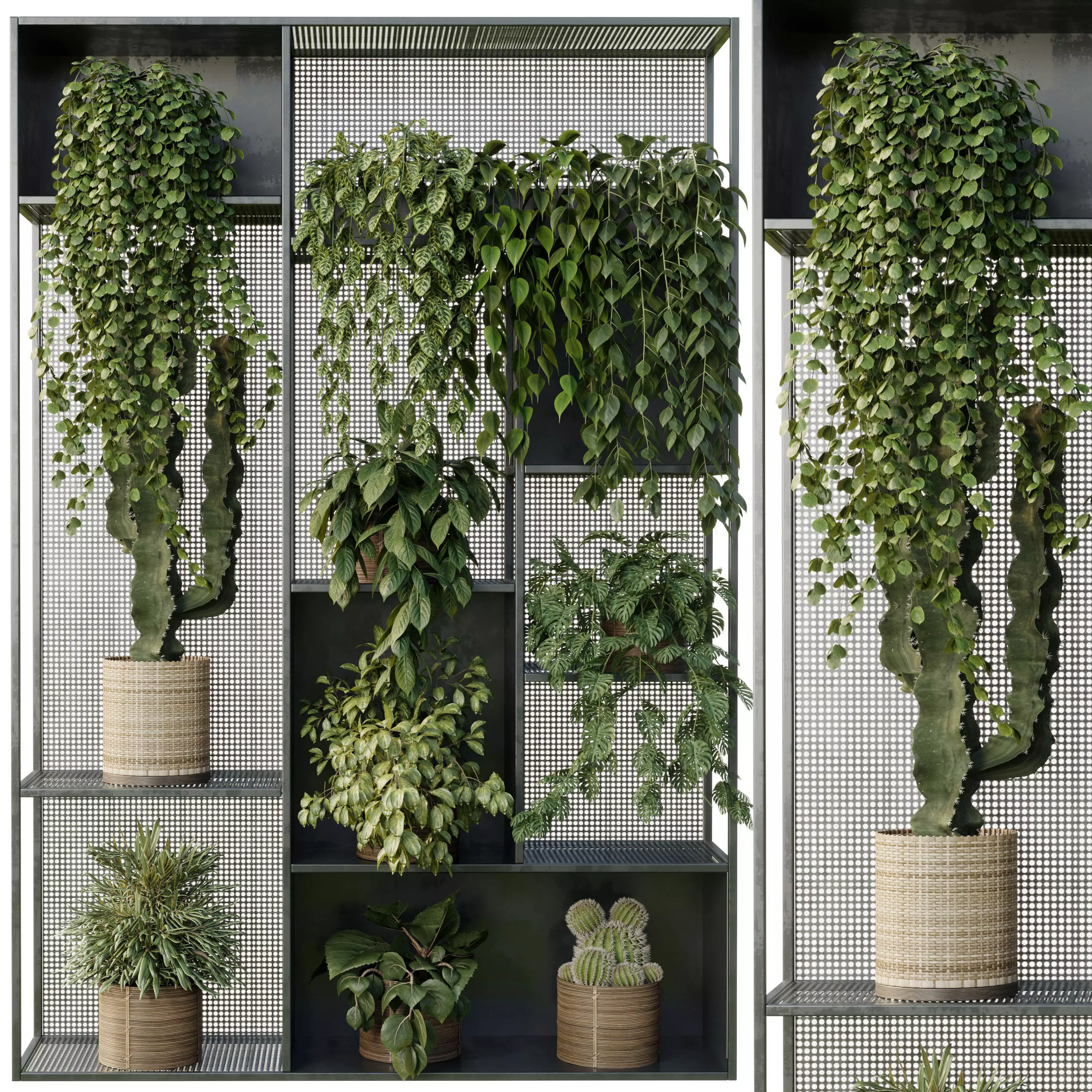 Standing Metal Shelf With A Set of Plants in Metal Boxes 121 3D model_0