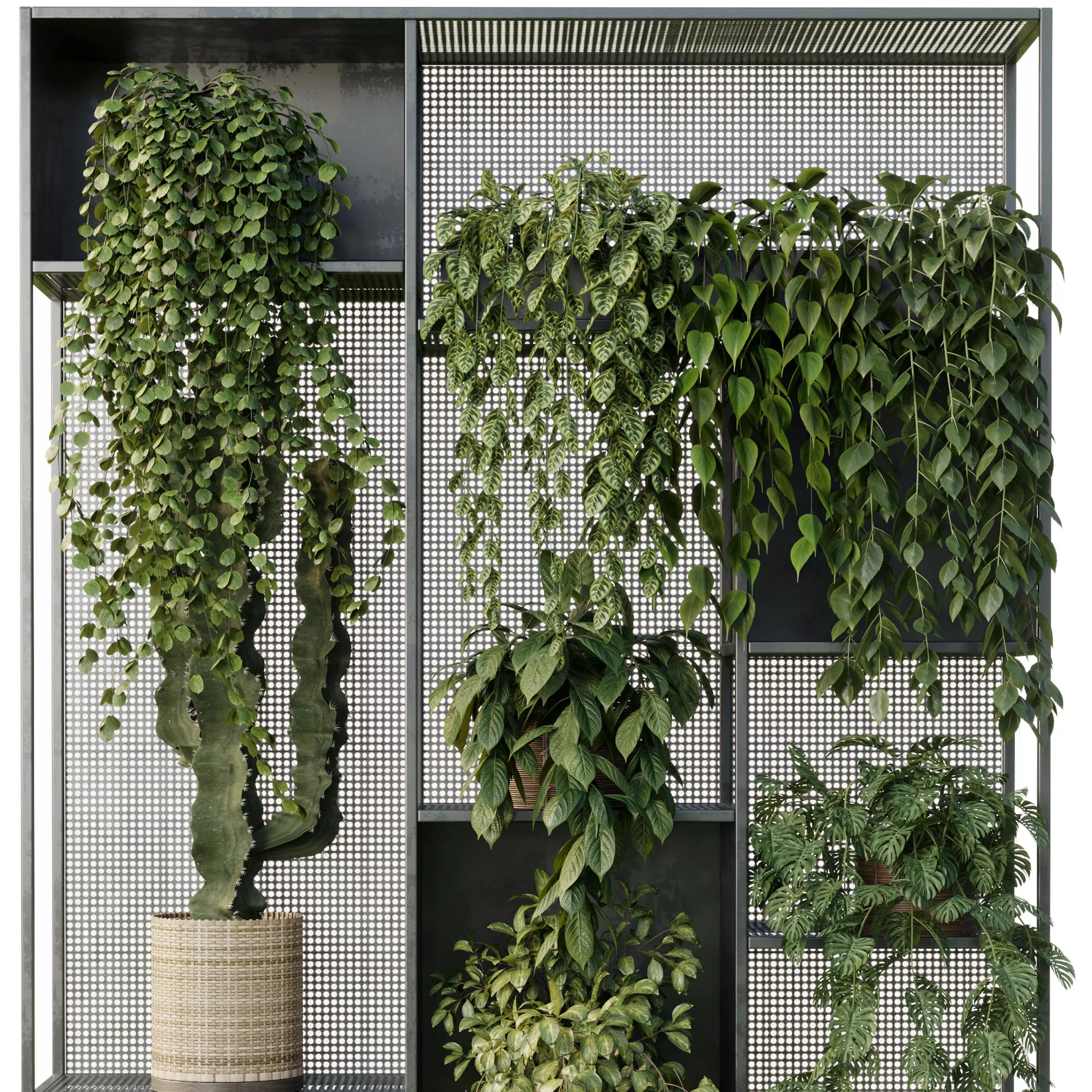 Standing Metal Shelf With A Set of Plants in Metal Boxes 121 3D model_4