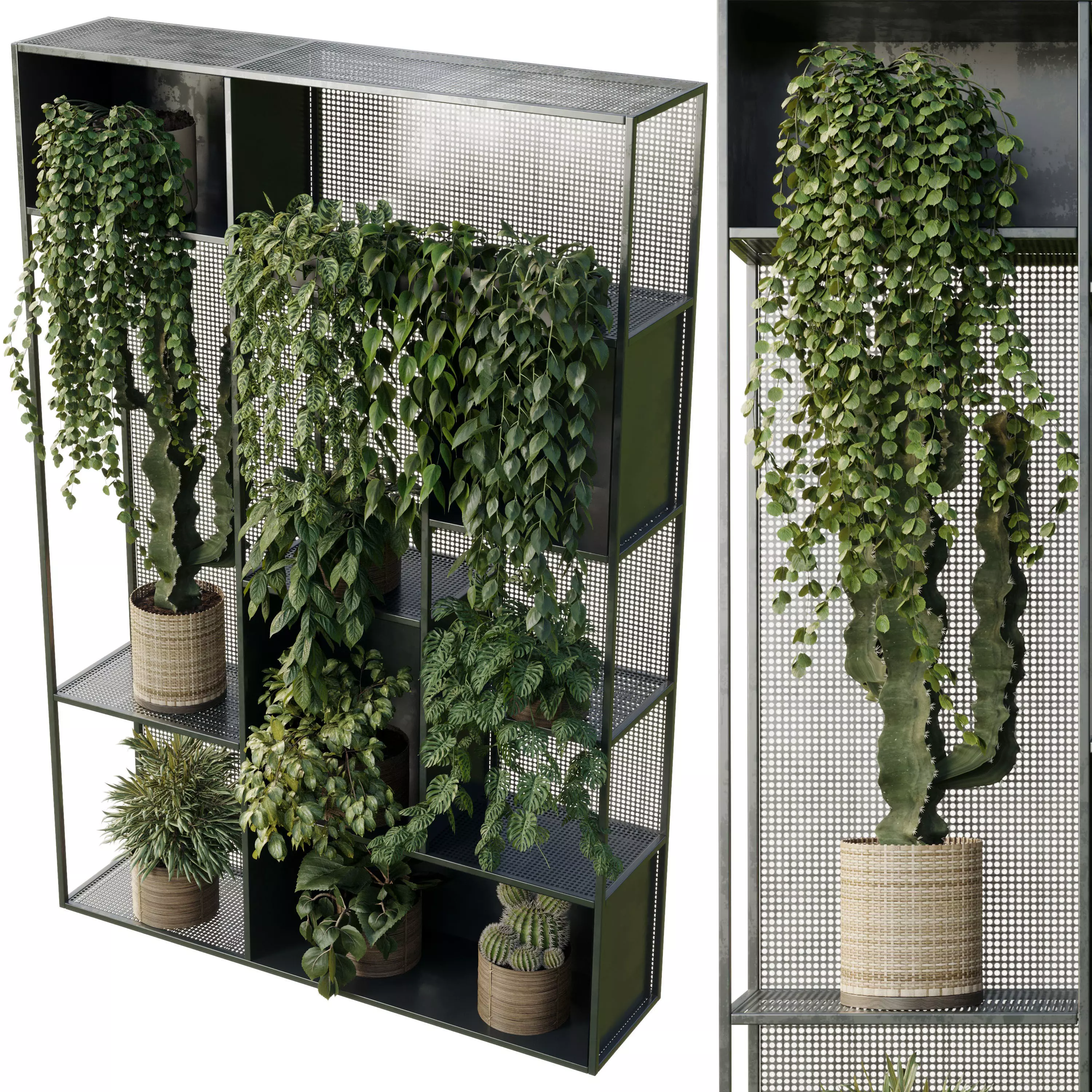 Standing Metal Shelf With A Set of Plants in Metal Boxes 121 3D model_5
