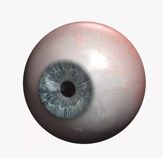 human Eye model 3D Ojo Humano Modelado 3D Low-poly 3D model