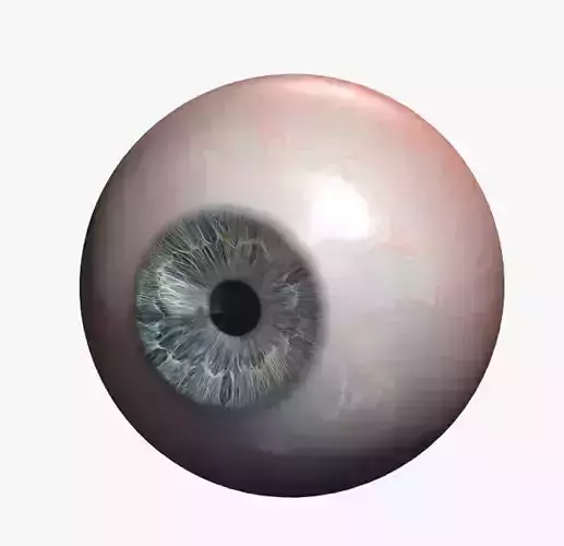  human Eye model 3D Ojo Humano Modelado 3D