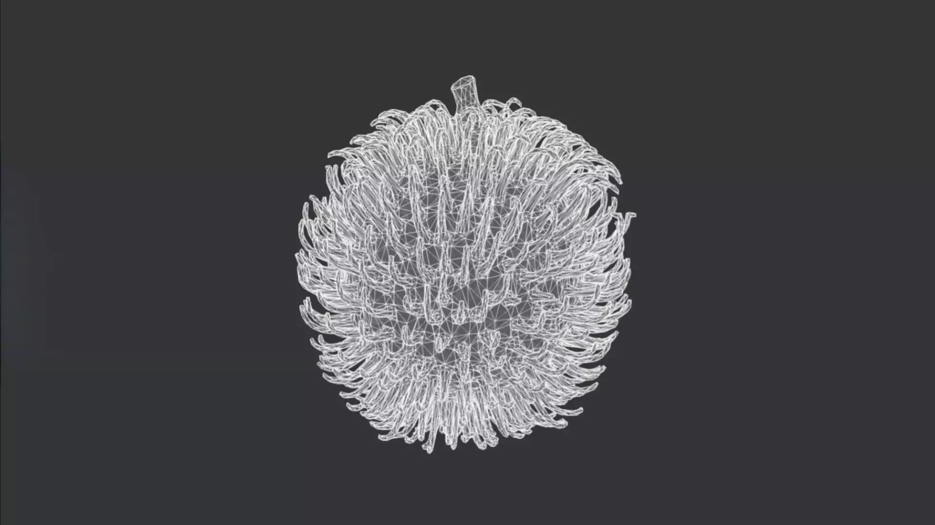 Rambutan 3D model_3