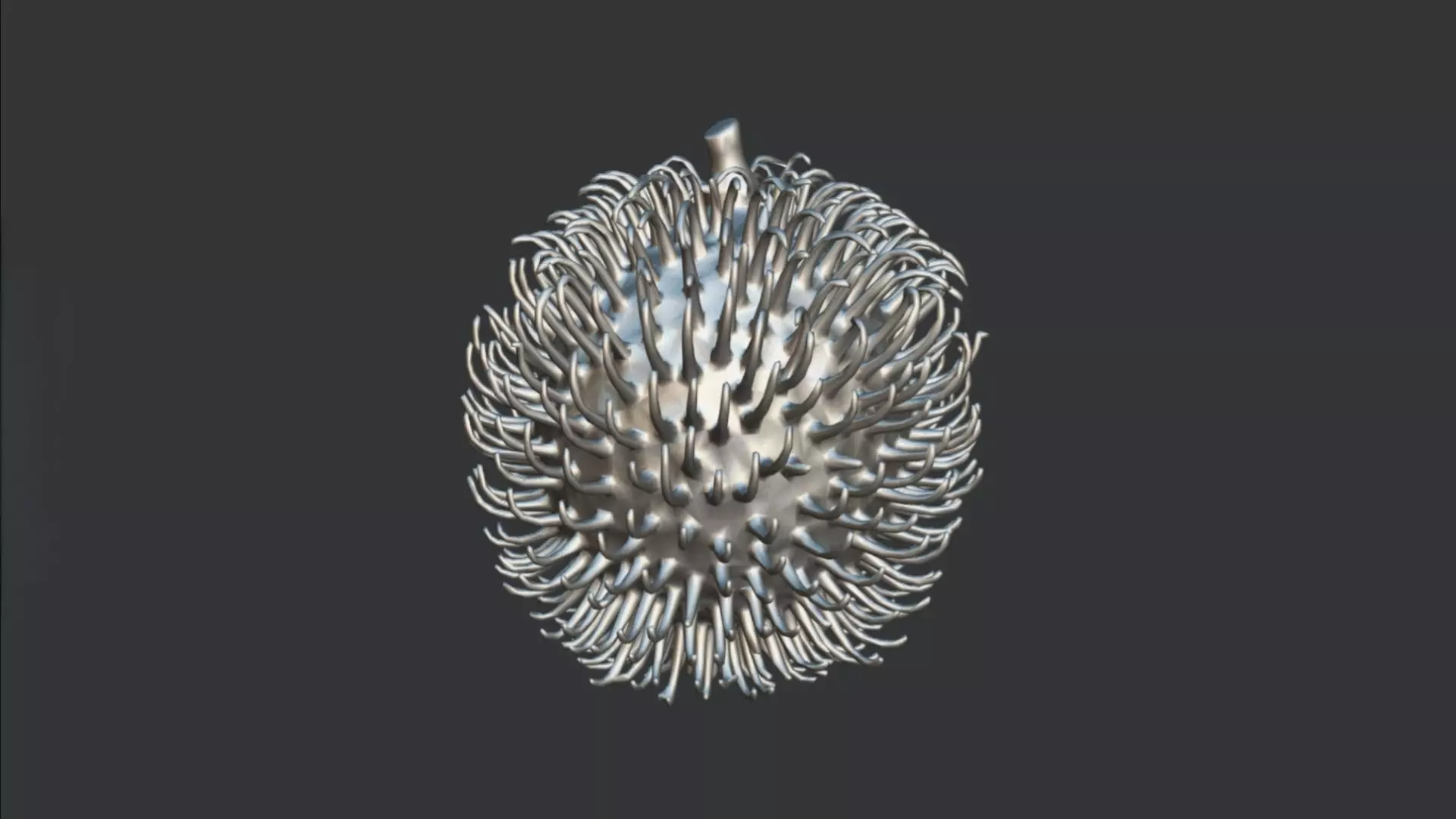 Rambutan 3D model_2