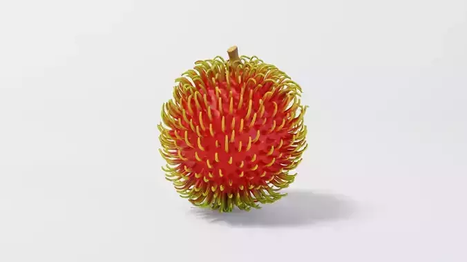 Rambutan 3D model