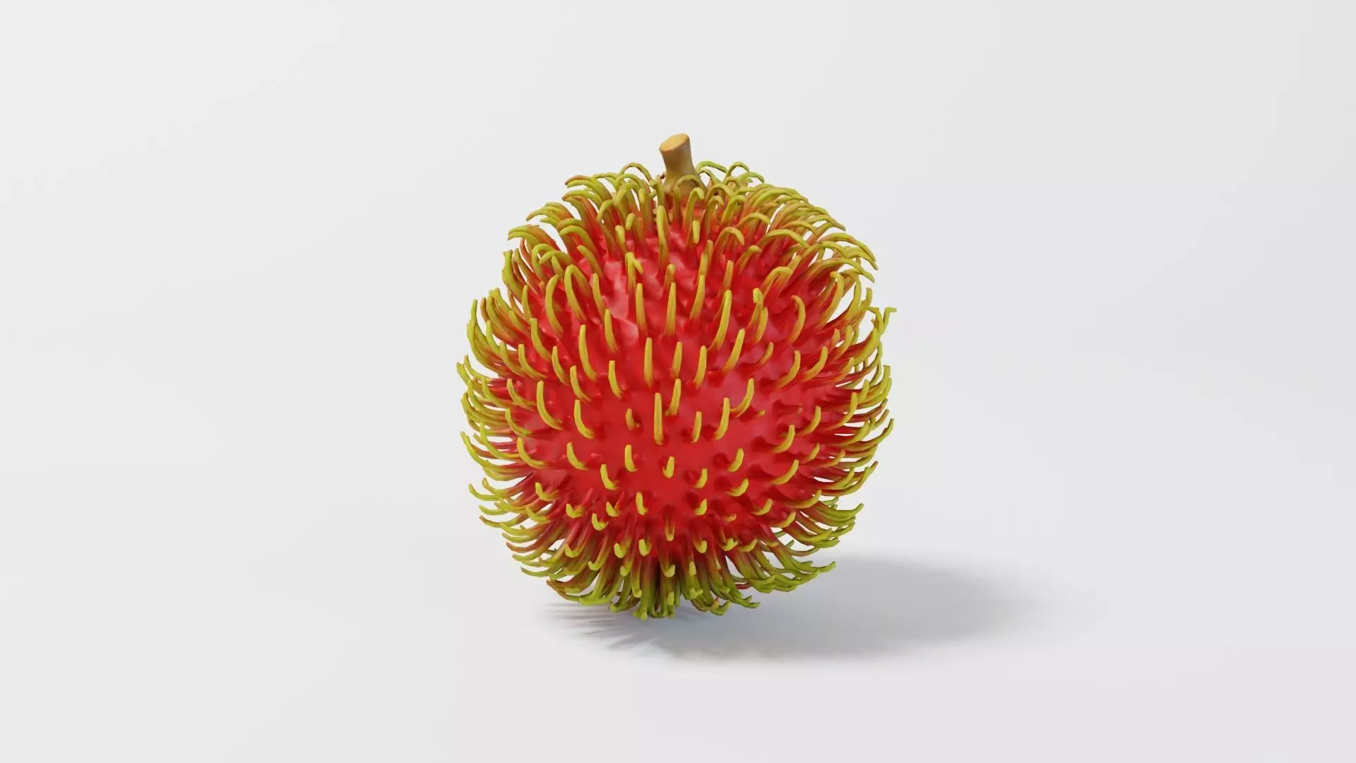 Rambutan 3D model_0