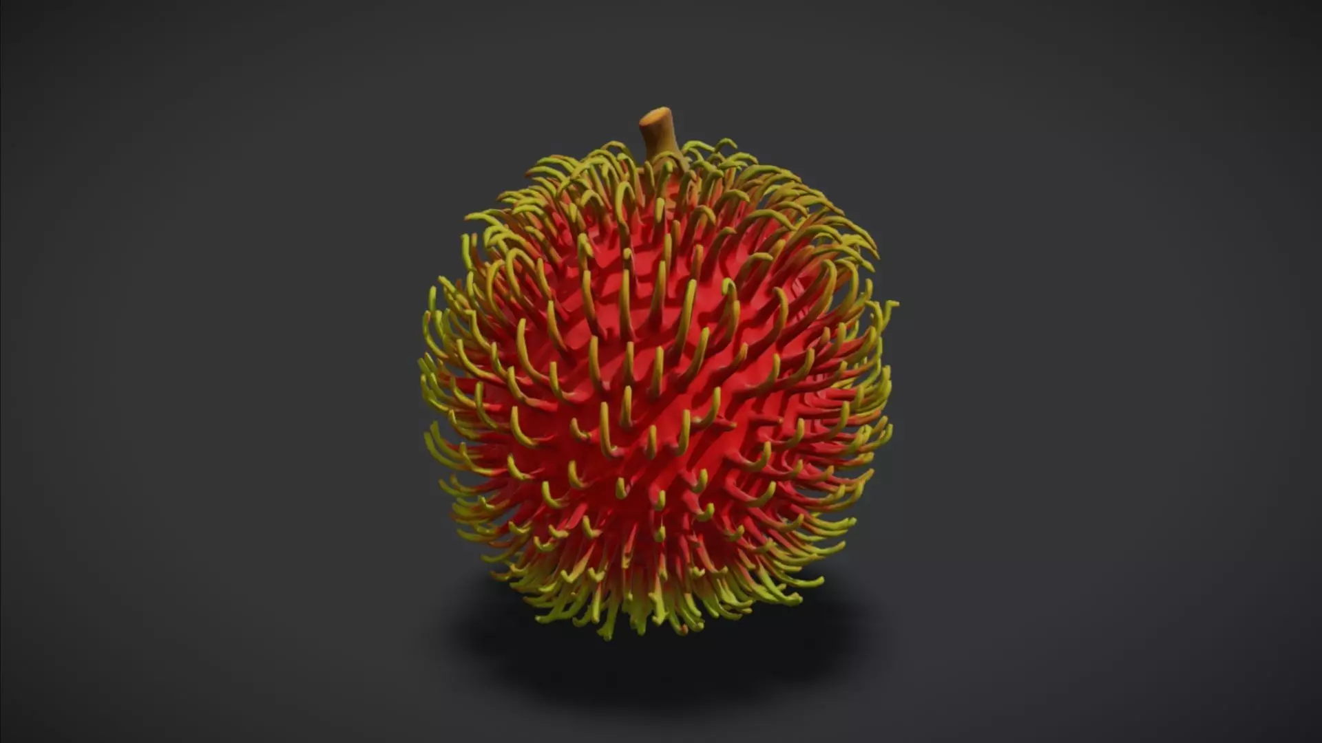 Rambutan 3D model_1