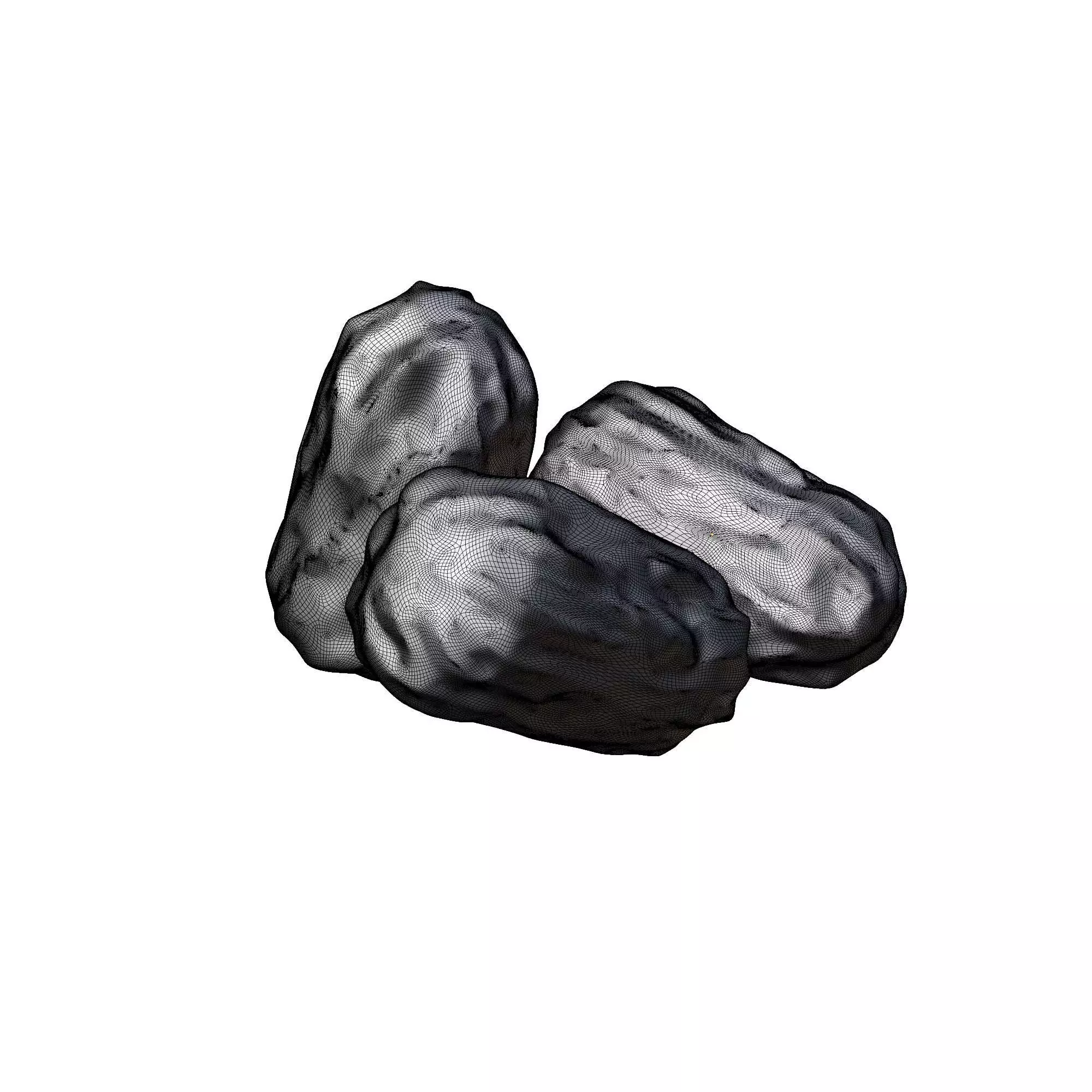 Dried Date 3D model_3