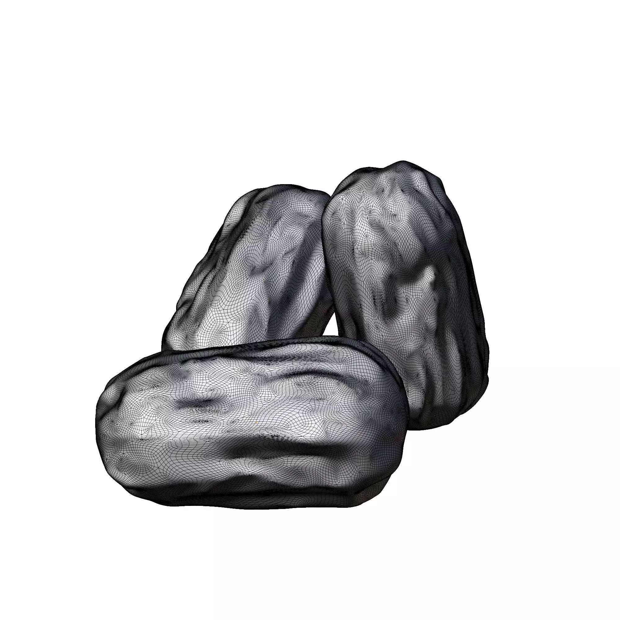 Dried Date 3D model_4