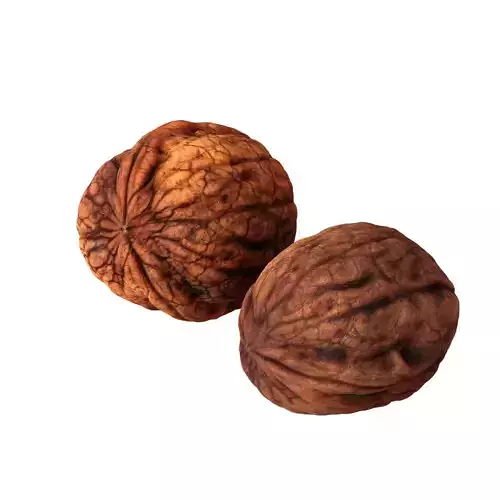 Walnut