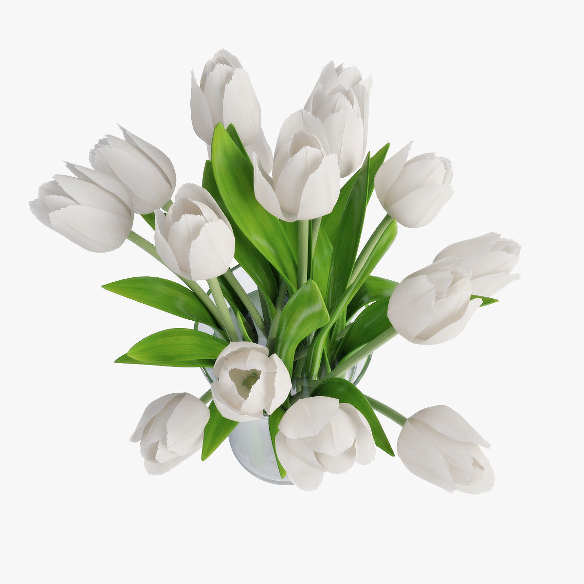 Tulips 02 3D model_3