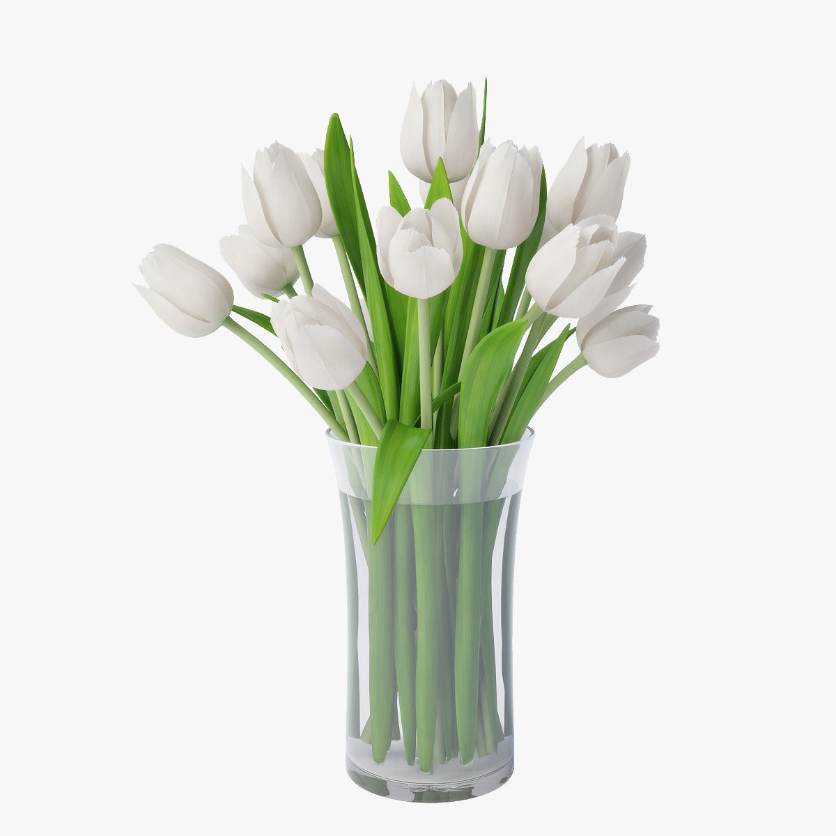 Tulips 02 3D model_1