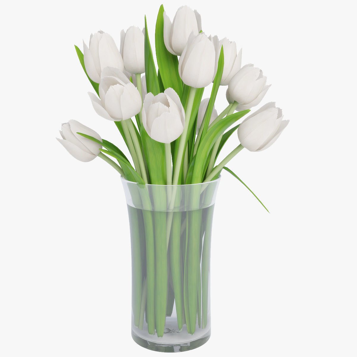 Tulips 02 3D model_4