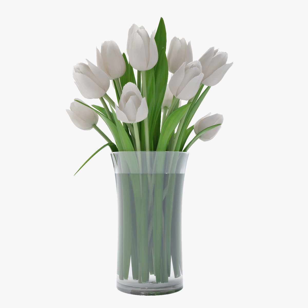 Tulips 02 3D model_2