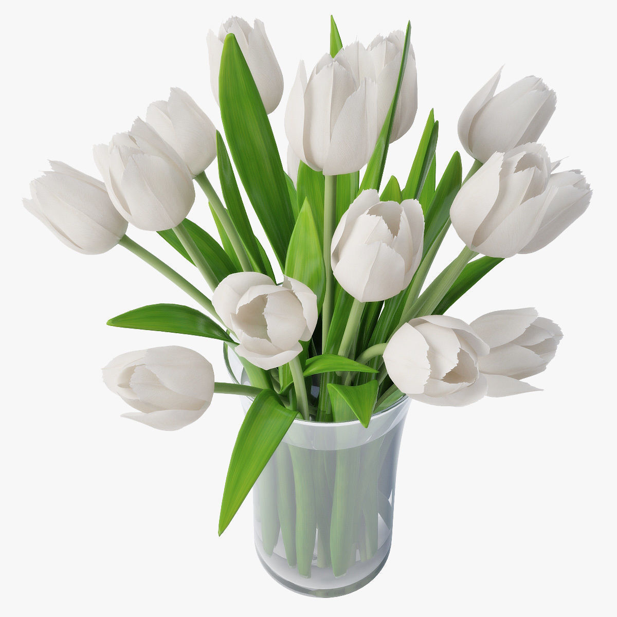 Tulips 02 3D model_5
