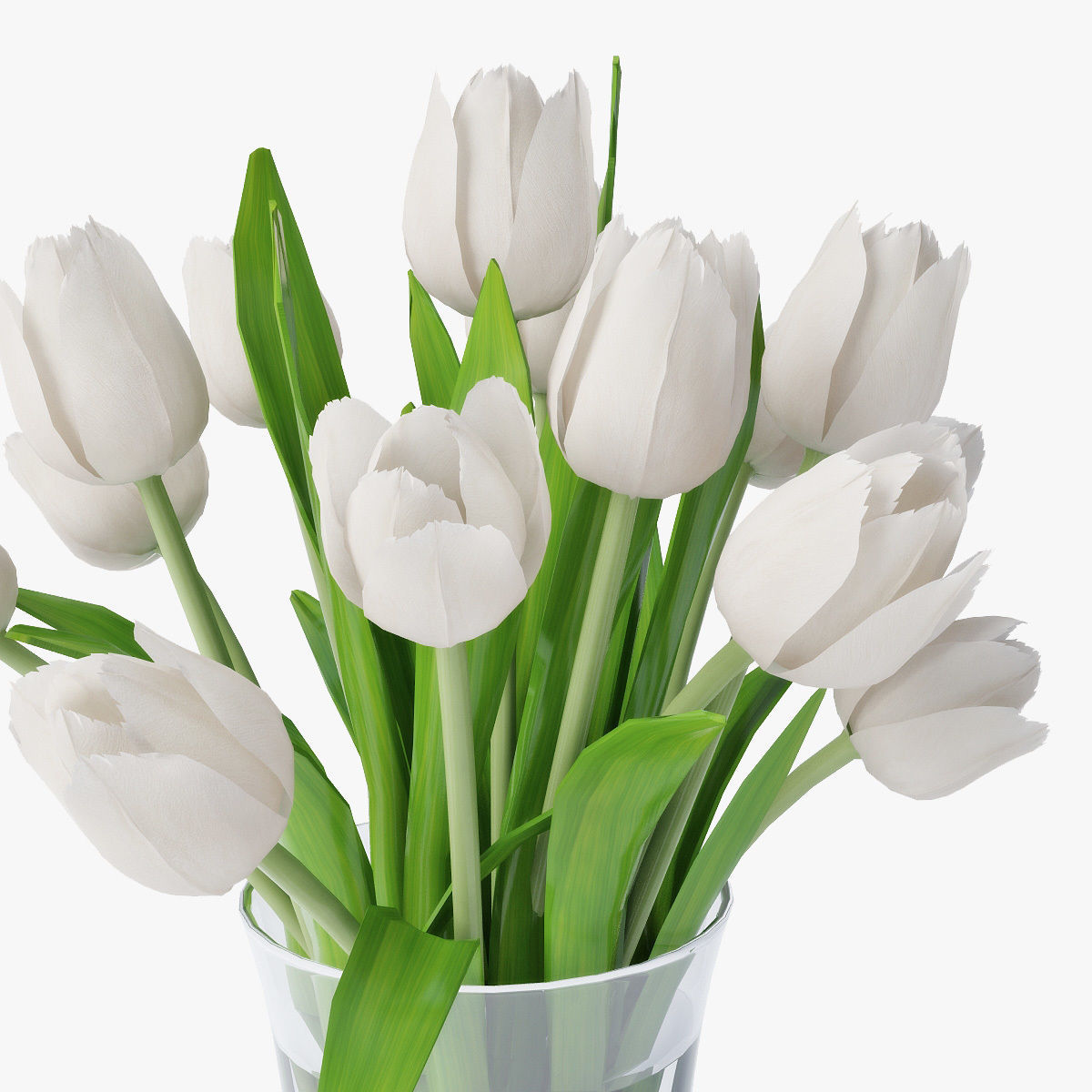 Tulips 02 3D model_8