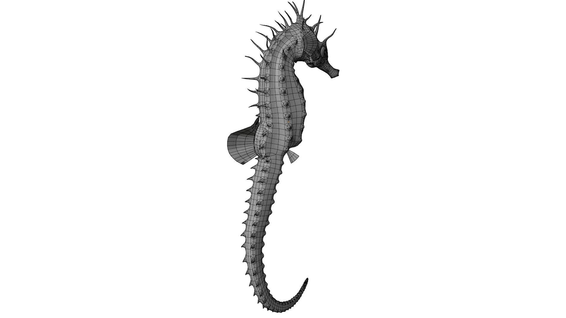 Seahorse 3D model_13