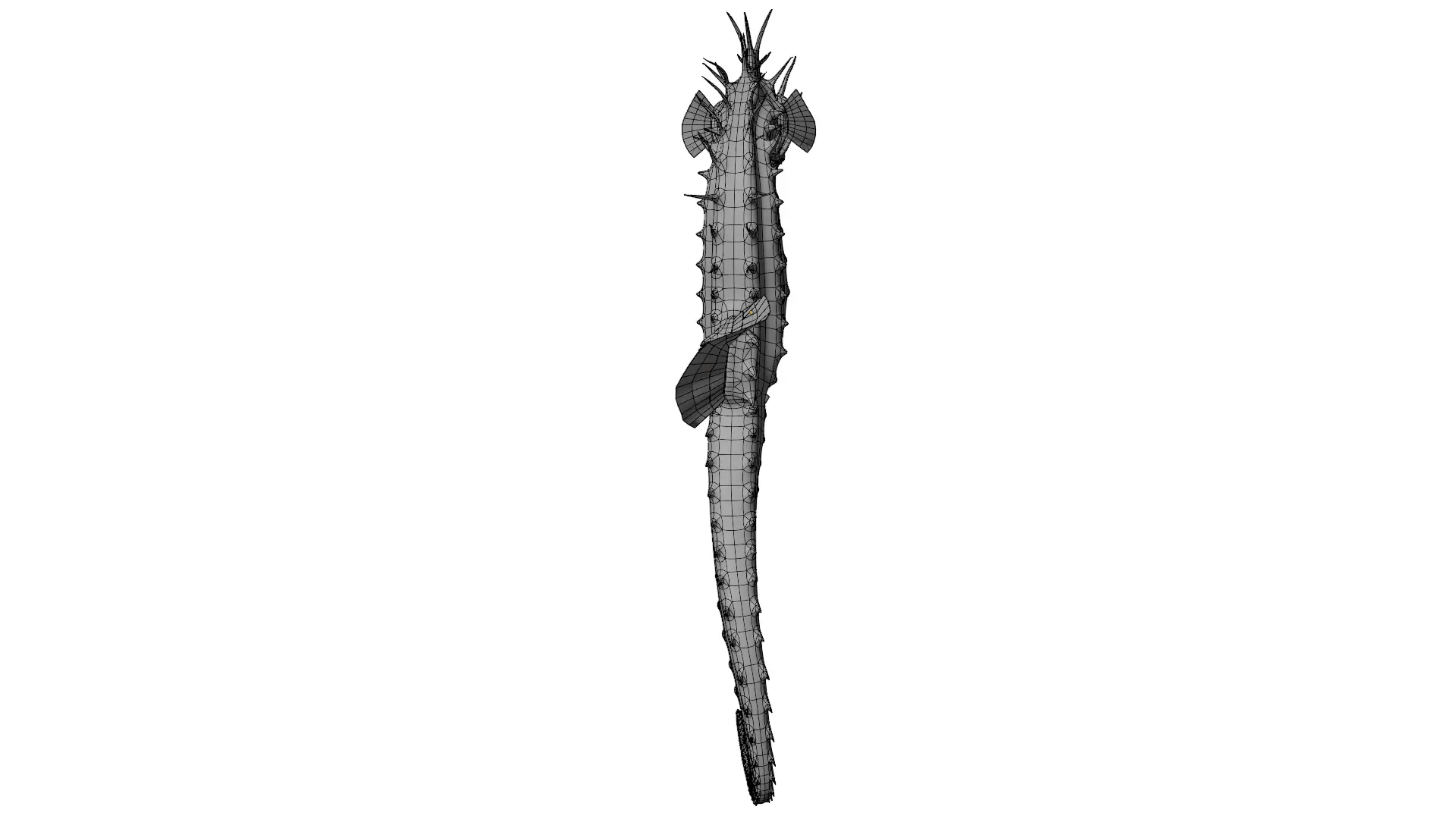 Seahorse 3D model_12