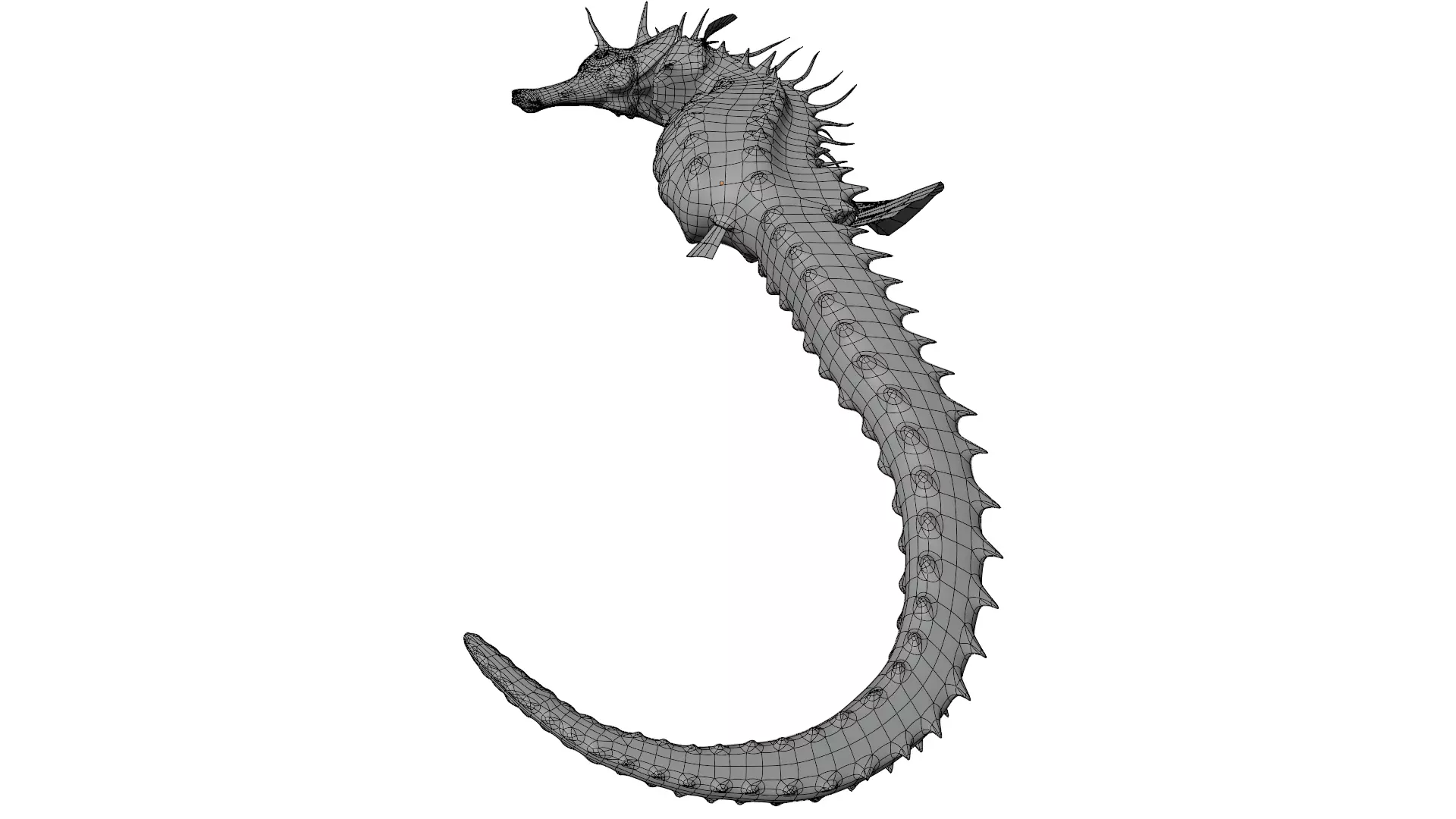 Seahorse 3D model_17