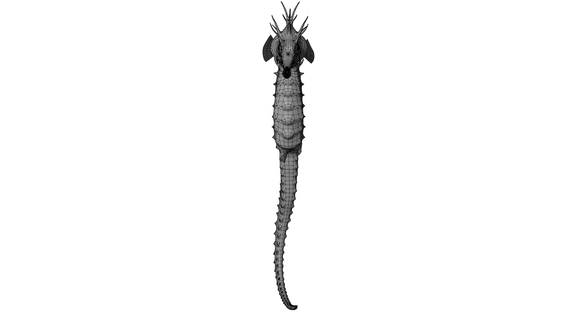 Seahorse 3D model_16