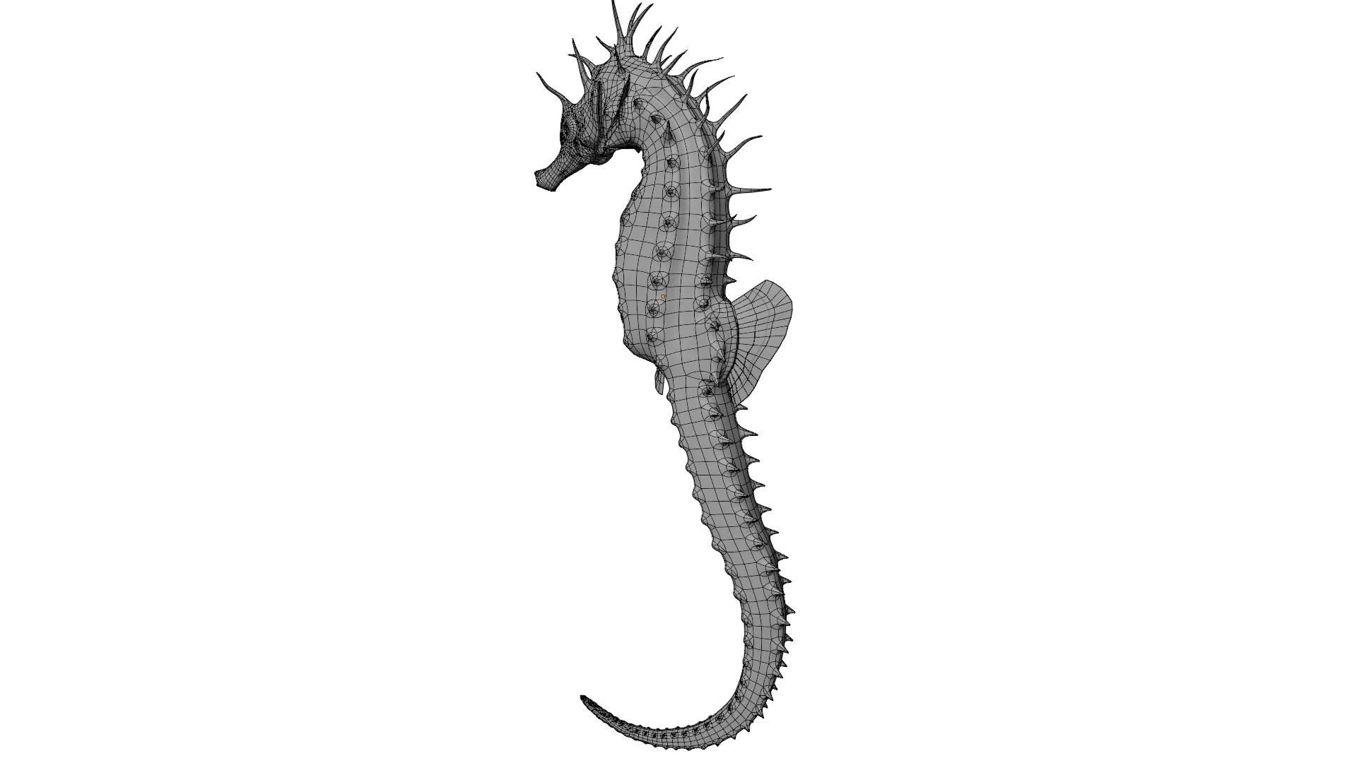 Seahorse 3D model_11