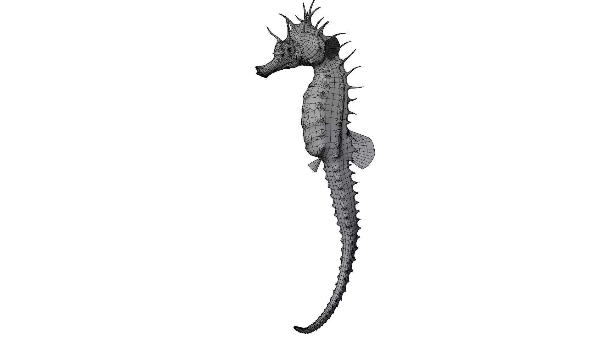 Seahorse 3D model_9